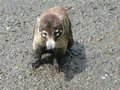 IMG_3133.JPG